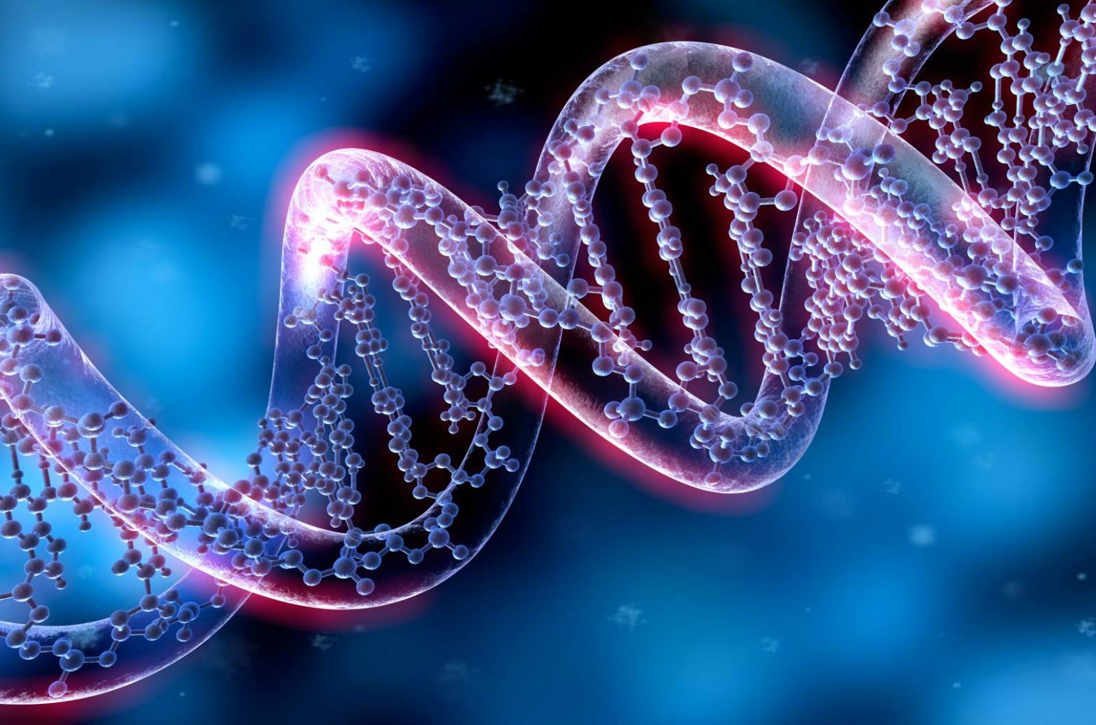 Automation Technology Speeds DNA Analysis