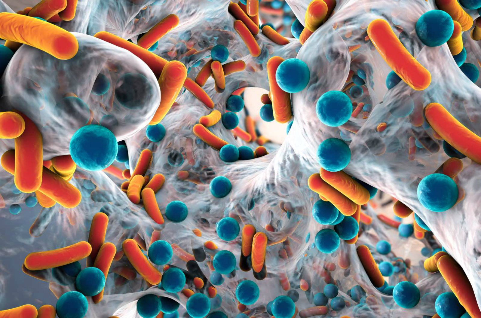 Improved Diagnostic Test Targets Hard-to-Detect Bacteria