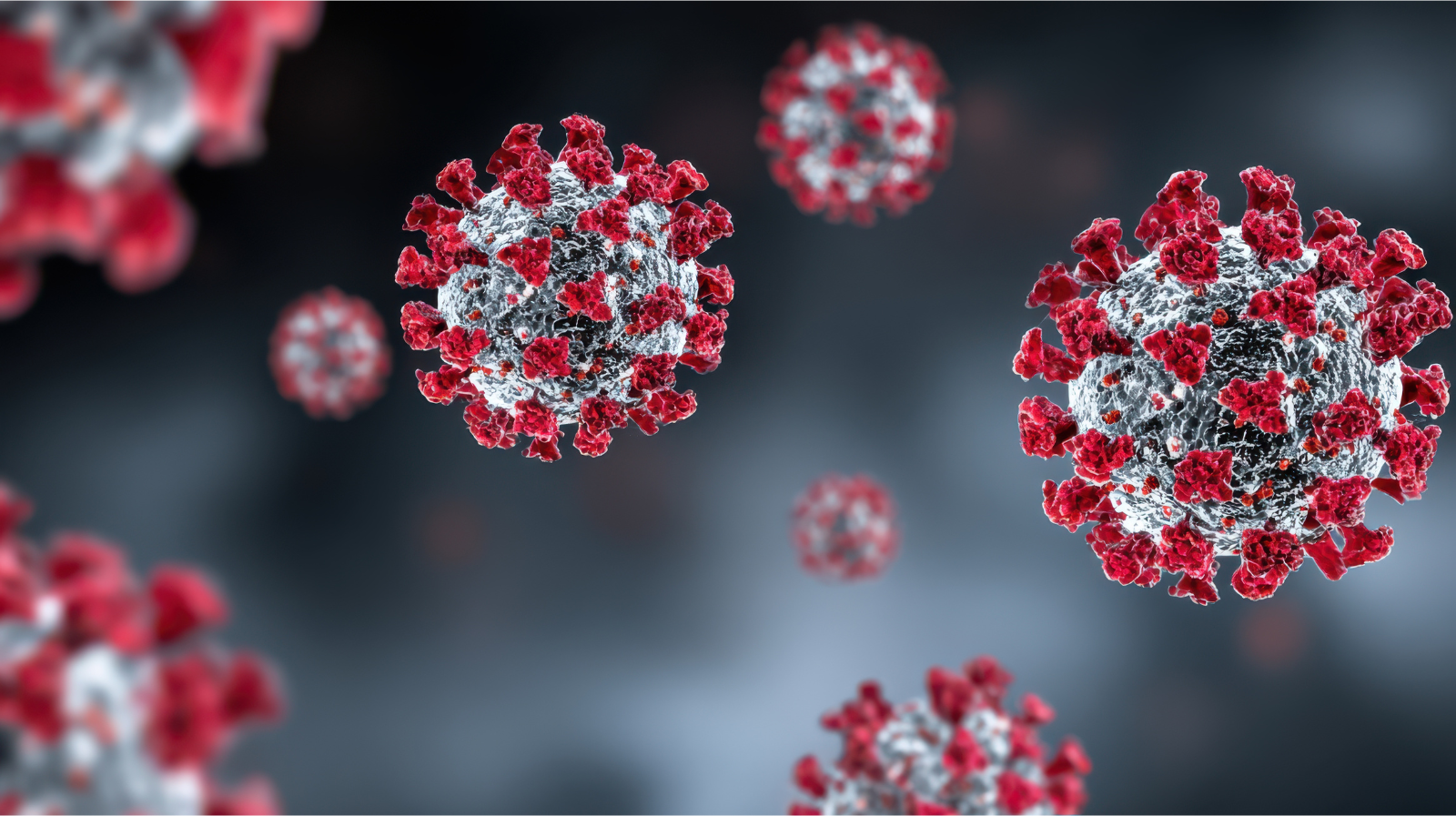 During the Height of the Pandemic, COVID-19 Vaccine Delivered Peace of Mind 