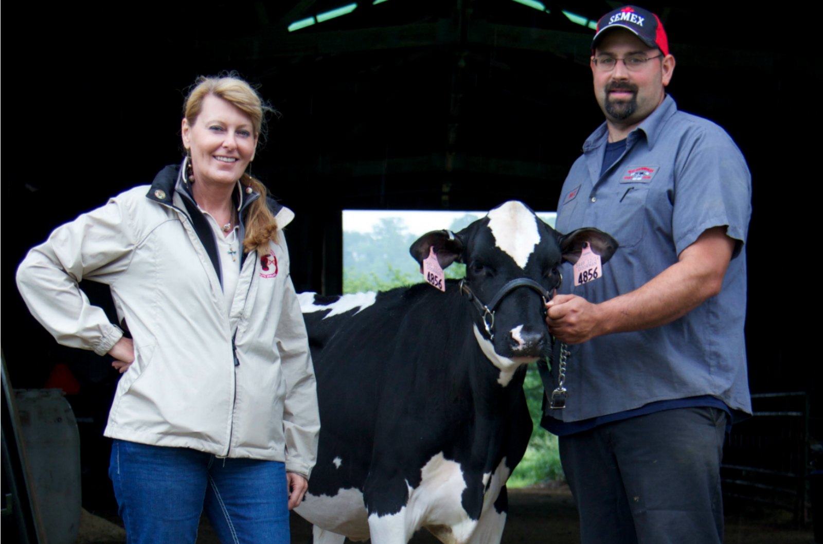 Breeding Selection Technology Allows Dairy Farmers to Raise Healthier Herds