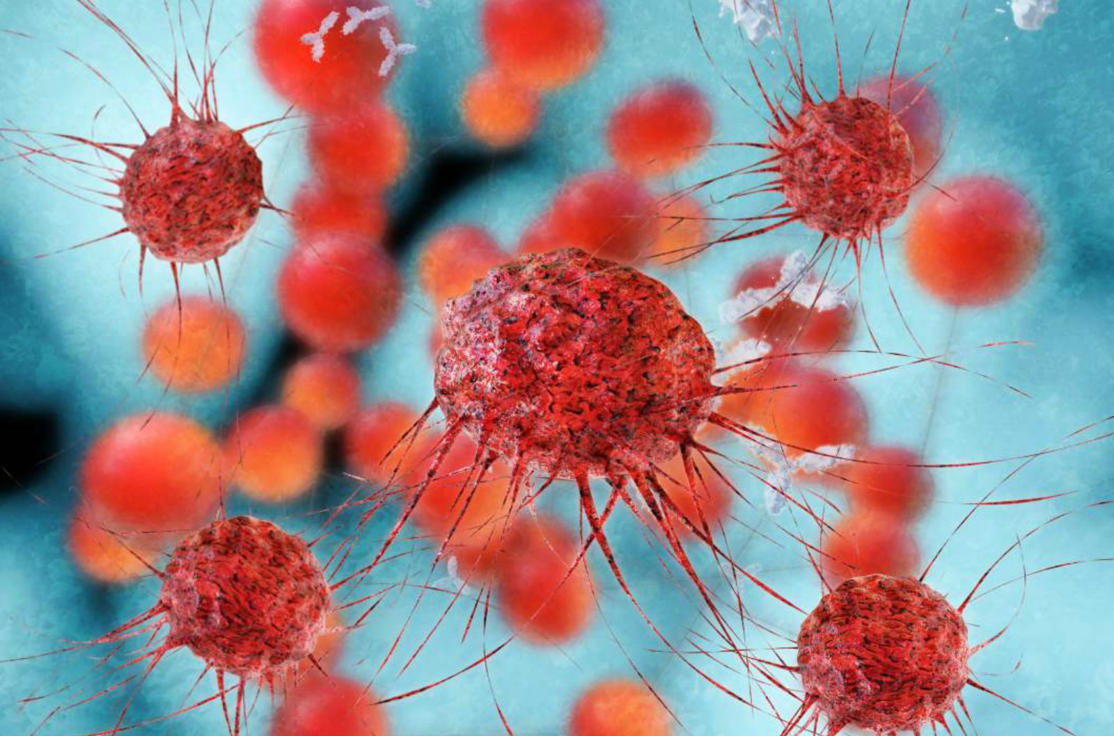 Drug Decreases Activity of Enzyme HDAC to Slow Cancer
