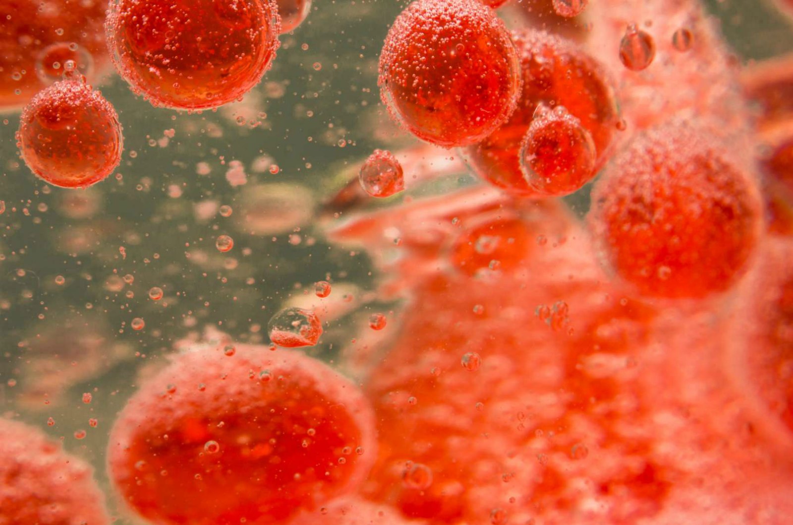 Researcher Improves Life-Saving Blood Clotting Agent