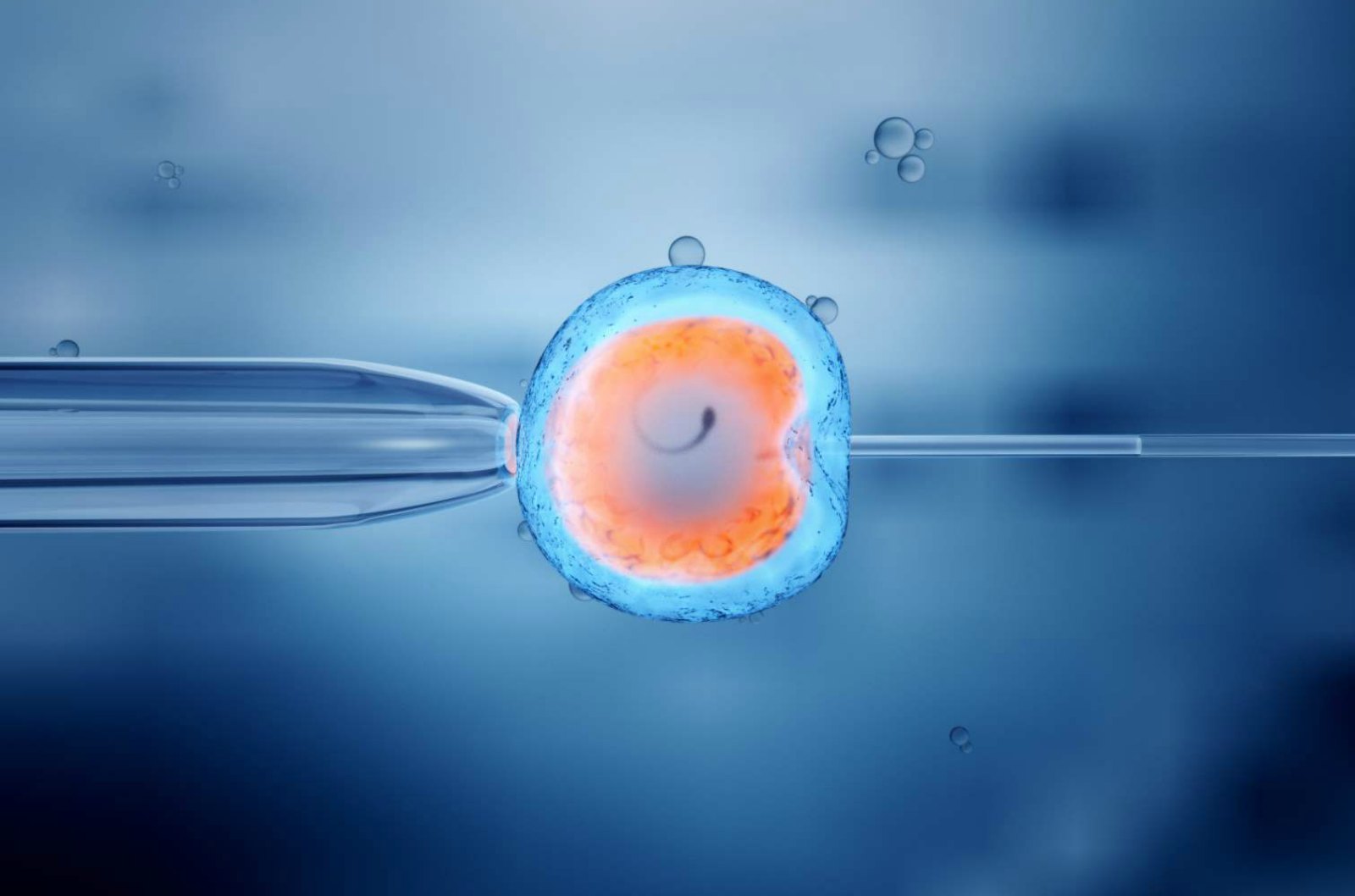 New Test Kit Improves In Vitro Fertilization Success Rates